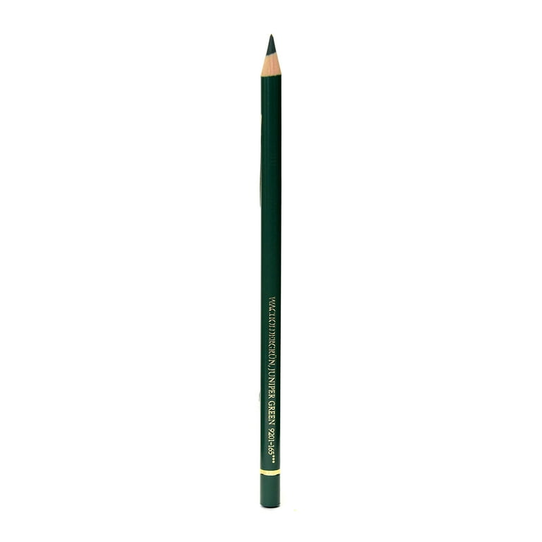 Faber-Castell Polychromos Pencil - 165 - Juniper Green
