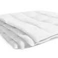 asthma & allergy Friendly 240TC Down Comforter in Multiple Sizes