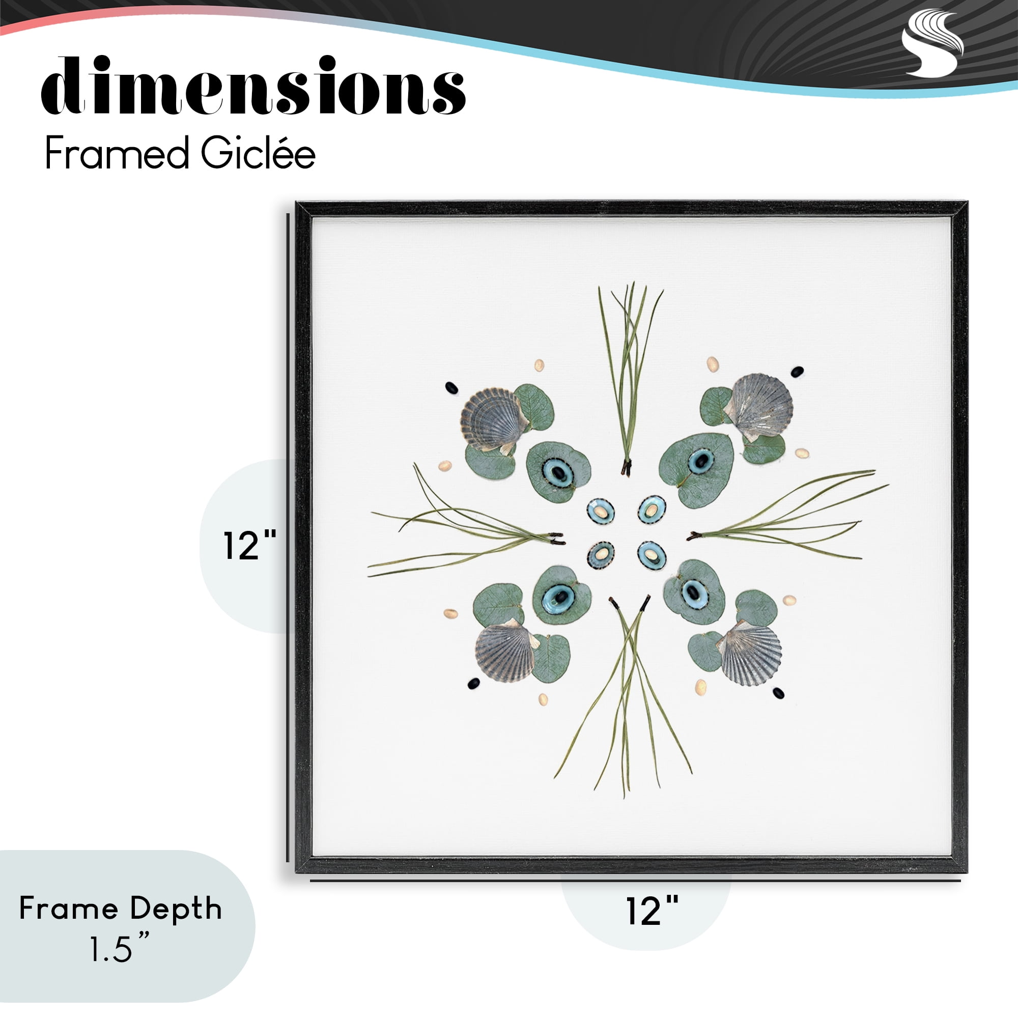 Stupell Industries Seashell & Leaf Symmetry Black Framed Giclee Art, design by Beth Adoette