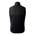 thumbnail image 2 of Dare 2B Gilet Homme Downing II, 2 of 5