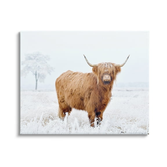 Stupell Industries Highland Cow in Snow Animals & Insects Photography Gallery Wrapped Canvas Art Print Wall Art, 20 x 16