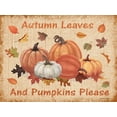 thumbnail image 2 of Phillips, Anita 24x19 White Modern Wood Framed Museum Art Print Titled - Pumpkins Please, 2 of 4