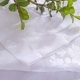 thumbnail image 3 of Nvzi Cenefa de cortina de encaje transparente para cocina, estilo cafetería, con bordado floral, con bolsillo para varilla, para ventana pequeña, 1 pieza (51" x 16", color blanco), 3 of 5