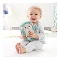 thumbnail image 4 of Juguete para Bebés Fisher-Price Erizo Vibraciones Relajantes, 4 of 4