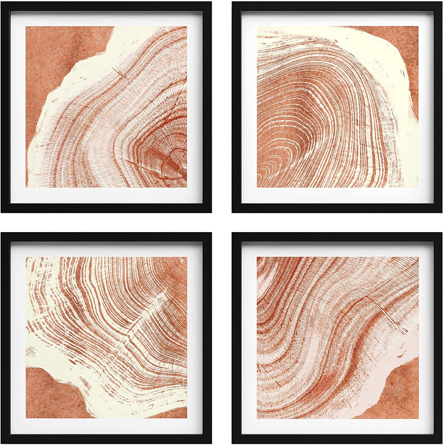 PixonSign Framed Wall Art Collage Print Gallery Set Brown Wood Ring Line Art Botanical Floral Plants Digital Art Minimalism CloseUp Relax/Calm for Living Room, Bedroom, Office - 12"x12"x4 BLACK