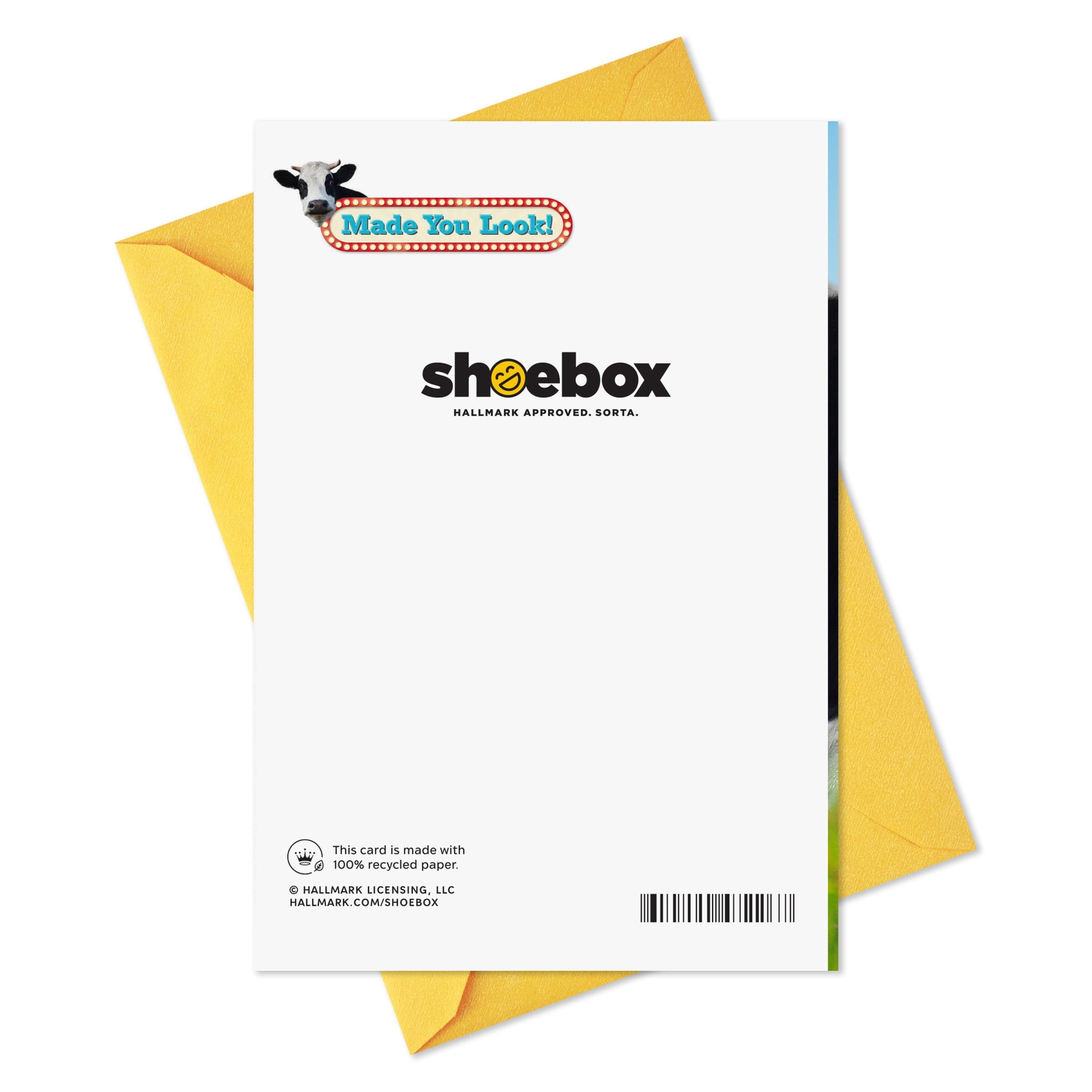 Hallmark Shoebox Funny Thank-You Card (Moo-chas Gracias)