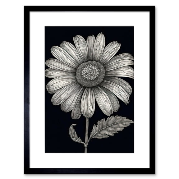 Daisy Flower Bloom Black and White Pencil Drawing Artwork Framed Wall Art Print 9X7 Inch