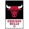 thumbnail image 4 of NBA Chicago Bulls - Logo 21 Wall Poster with Pushpins, 22.375" x 34", 4 of 6
