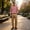 Pink, variant on Mens Polo Shirts Long Sleeve Button Down Collar Casual Golf Shirt Breathable Basic Solid Color Loose Tops, 2XL