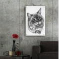 thumbnail image 6 of Epic Art 'Kitty' by Barbara Keith, Acrylic Glass Wall Art, 24"x36", 6 of 8