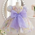thumbnail image 5 of LADIGASU Girls' SummerShort Sleeve Ruffled Lace Round-Neck Embroidery Mesh Princess Bow Skirt, 5 of 5