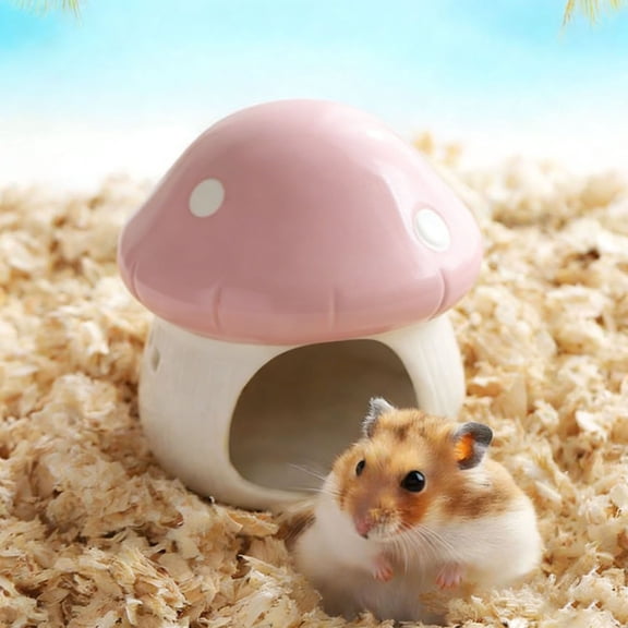 Eespoir Ceramic Hamster Hideout, Hamster Ceramic To Hideout Scenic Mushrooms, Small Animal Houses & Habitats for Mice, Gerbils, Lemmings