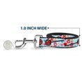 thumbnail image 5 of Buckle-Down Pet Leash, Dog Leash, Lollipop Hearts White, 4 Feet Long 1.0 Inch Wide, 5 of 6