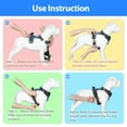 thumbnail image 5 of PoyPet Dog Harness No Pull,Adjustable Soft Padded Pet Vest with Easy Control Handle,No Choke Reflective Front Dog Harness for Small Medium Large Dogs,Blue L, 5 of 9