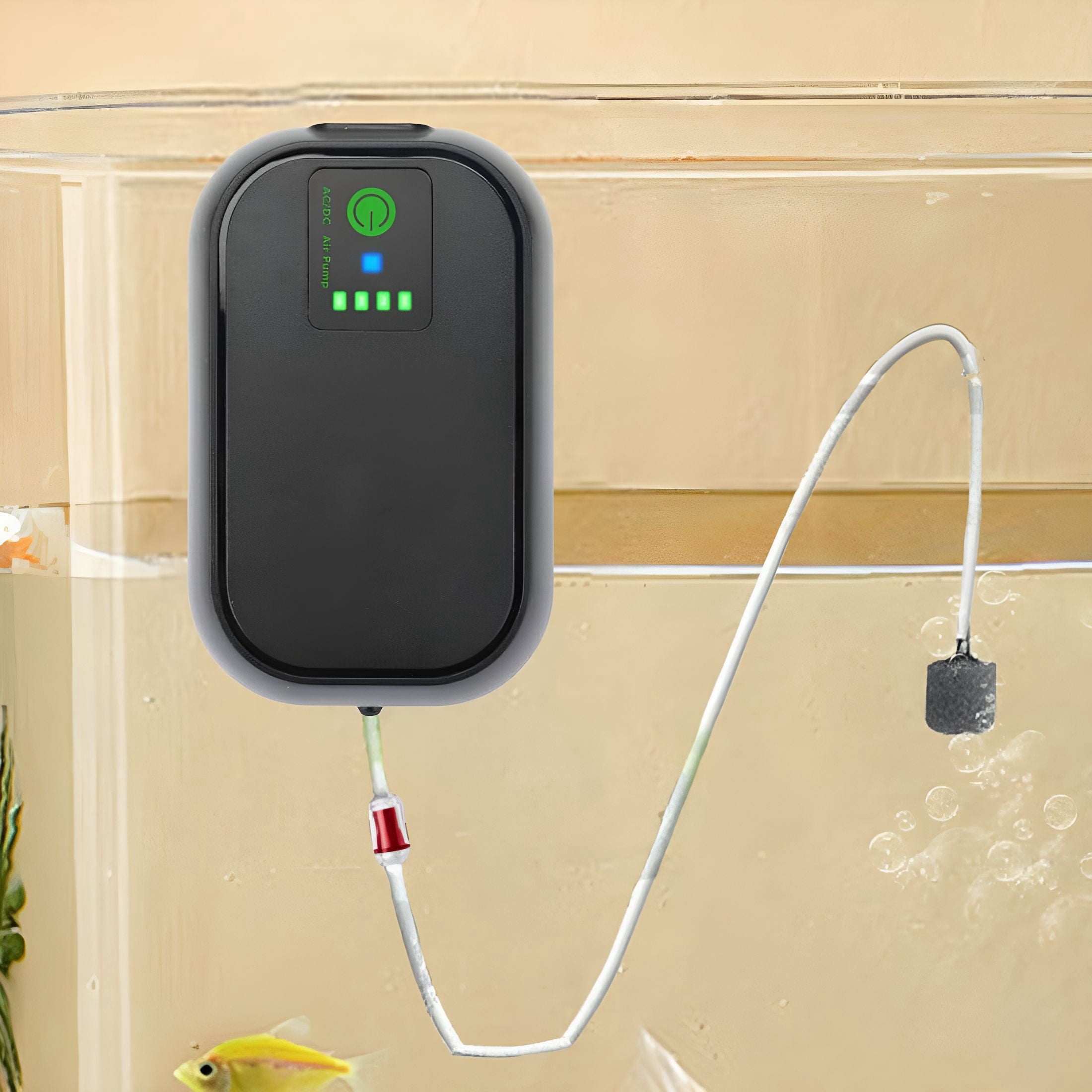 CURYMAY Rechargeable Bait Aerator with 2000Mah Battery for Live Bait,Portable Aquarium Air Pump