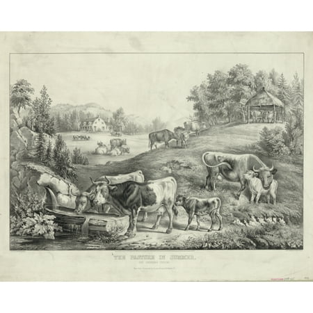 

Print: The Pasture In Summer: The Drinking Trough 1867