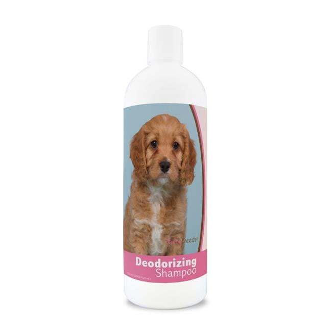 cavapoo puppy shampoo