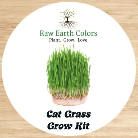 Raw Earth Colors Cat Grass Seeds, Reusable Grow Kit for Indoor Cats