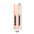 thumbnail image 2 of Xihbxyly Las mejores ofertas de hoy Corrector en barra contorneado para rostro y cuerpo, natural, tridimensional, mate, resistente al agua, 2,5 g, 2 of 3