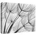 thumbnail image 2 of ArtWall Cora Niele "Parachute Seed II" Gallery-Wrapped Canvas, 2 of 2