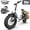 White, variant on 750W 1200W Folding Electric Bike for Adults with Basket, 48V 13Ah Removable Battery, 16" Fat Tire Ebike, Dual Disc Brakes & Front Suspension, UL 2849, Black