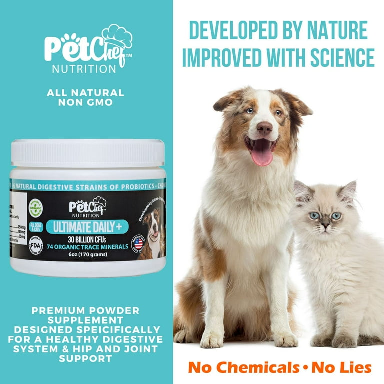 Can Glucosamine Give Dogs Diarrhea