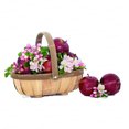 thumbnail image 3 of Pegatinas de pared autoadhesivas con forma de cesta de frutas de color pastoral Three Ratels CO39 para decoración de cocina y frigorífico, 3 of 5