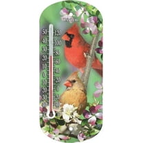 TAYLOR USA Cardinal Window Weather Thermometer, Durable Housing with UV-Resistant Ink
