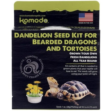 Komodo Dandelion Seed Kit for Bearded Dragons and Tortoises [Reptile, Foods Dry] 1 count