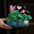 thumbnail image 4 of Decorative Lotus Bowl Planter-Featuring Lotus Flower Design for hydroponic Planting, Perfect as a Lotus Bowl Ideal Decorative Aquatic Container for Home, Patio, or Zen Garden.$$Garden & Patio, 4 of 5