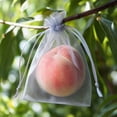 thumbnail image 6 of 100PCS Fruit Protection Bags, Gray Fruit Netting Cover Bags Drawstring Mesh Fruit Protectors Pest Barrier for Plant Fruit Flower Veggies Garden, 6 of 6