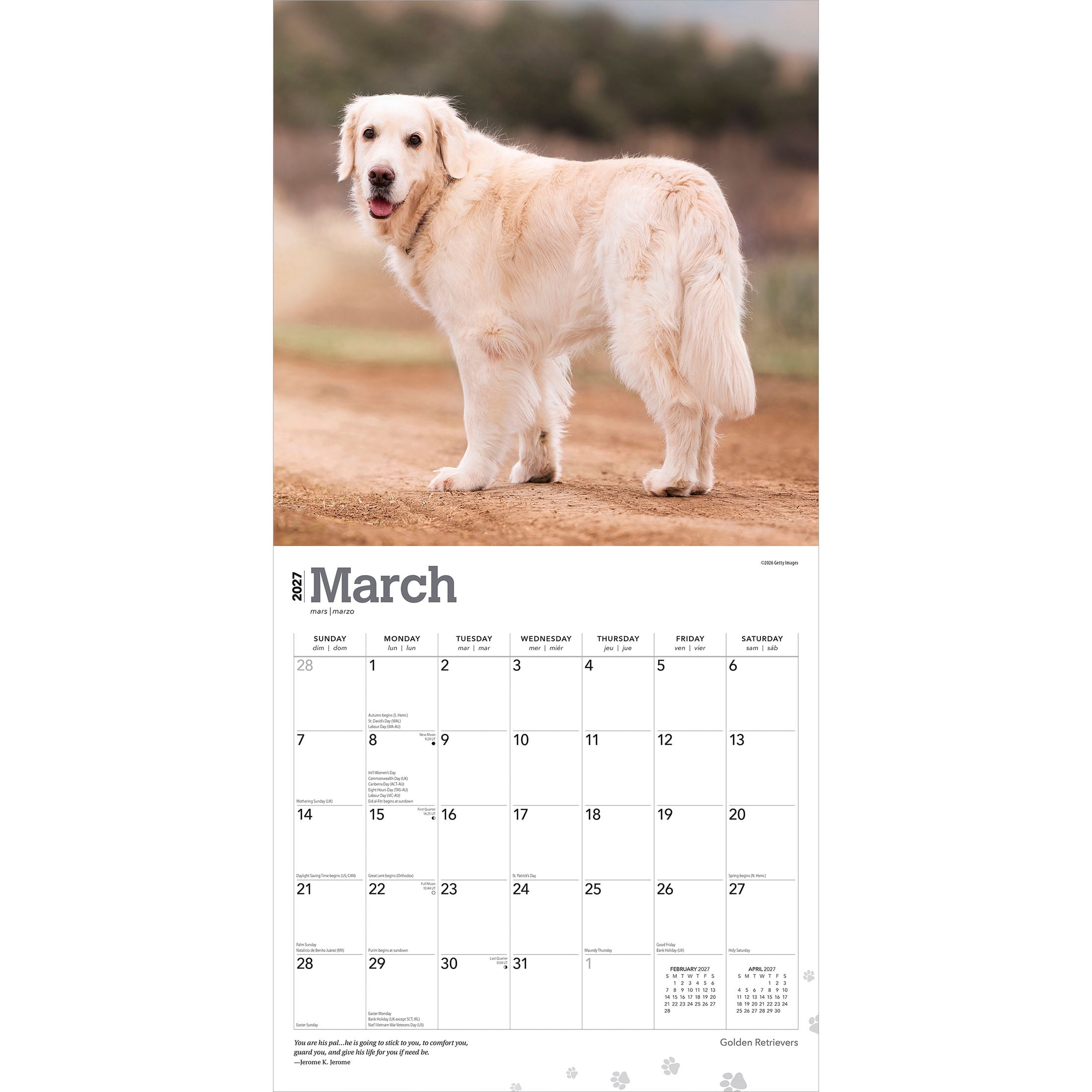 Golden Retrievers 2027 Square