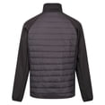 thumbnail image 2 of Regatta Veste Hybride Clumber IV pour Hommes, 2 of 7