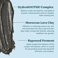 thumbnail image 3 of ALODIA Detox & Restore Moriccan Lava Clay Masque, 3 of 13