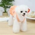 thumbnail image 6 of SPRING PARK Small Dog Knitwear Female Girl Sling Design Strawberry Pattern Winter Warm Dog Princess Dress Clothes, 6 of 7