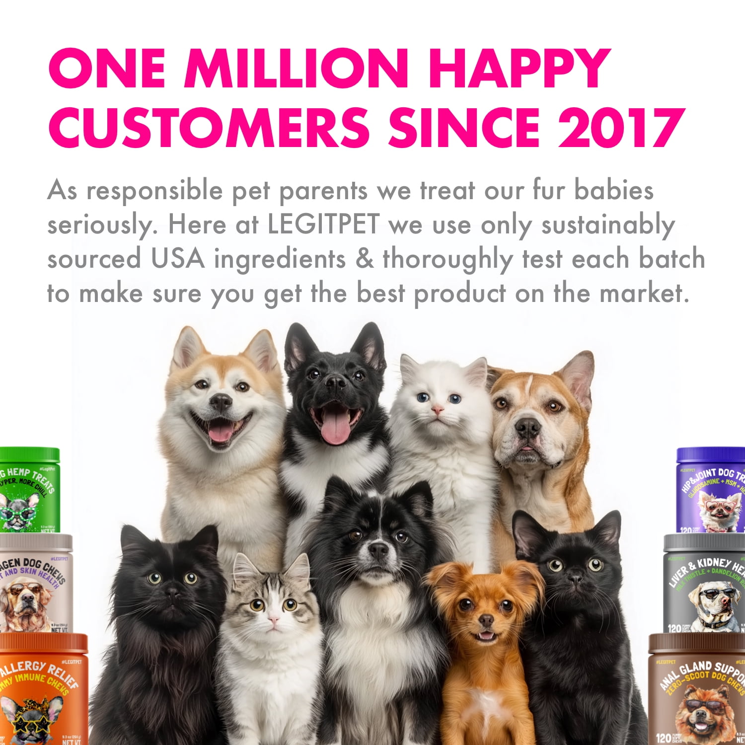 Omega 3 Alaskan Salmon Oil Treats for Dogs 120 Fish Oil Chew Supplement Skin and Coat Allergy and Itch Relief Hip & Joint Health Brain Shedding Hot Spots Treatment Omega 3 6 9 EPA & DHA Fatty Acids