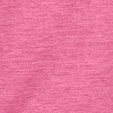 Pink Carnation