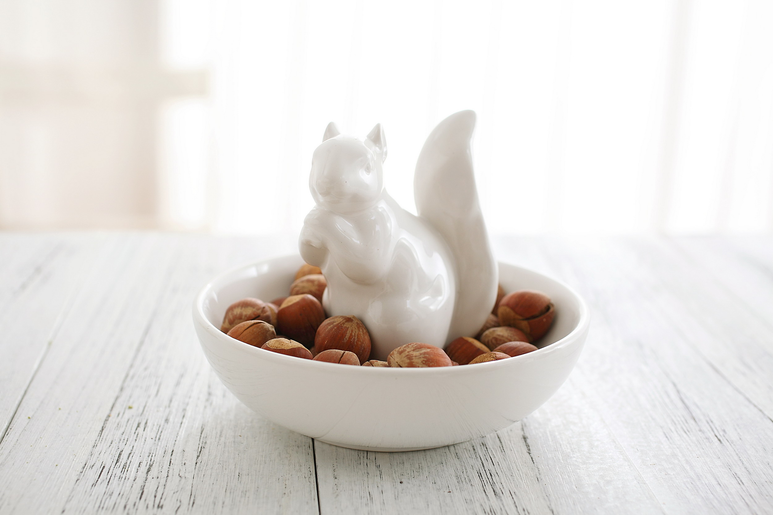Nuts for Squirrels Nut Bowl Perfect