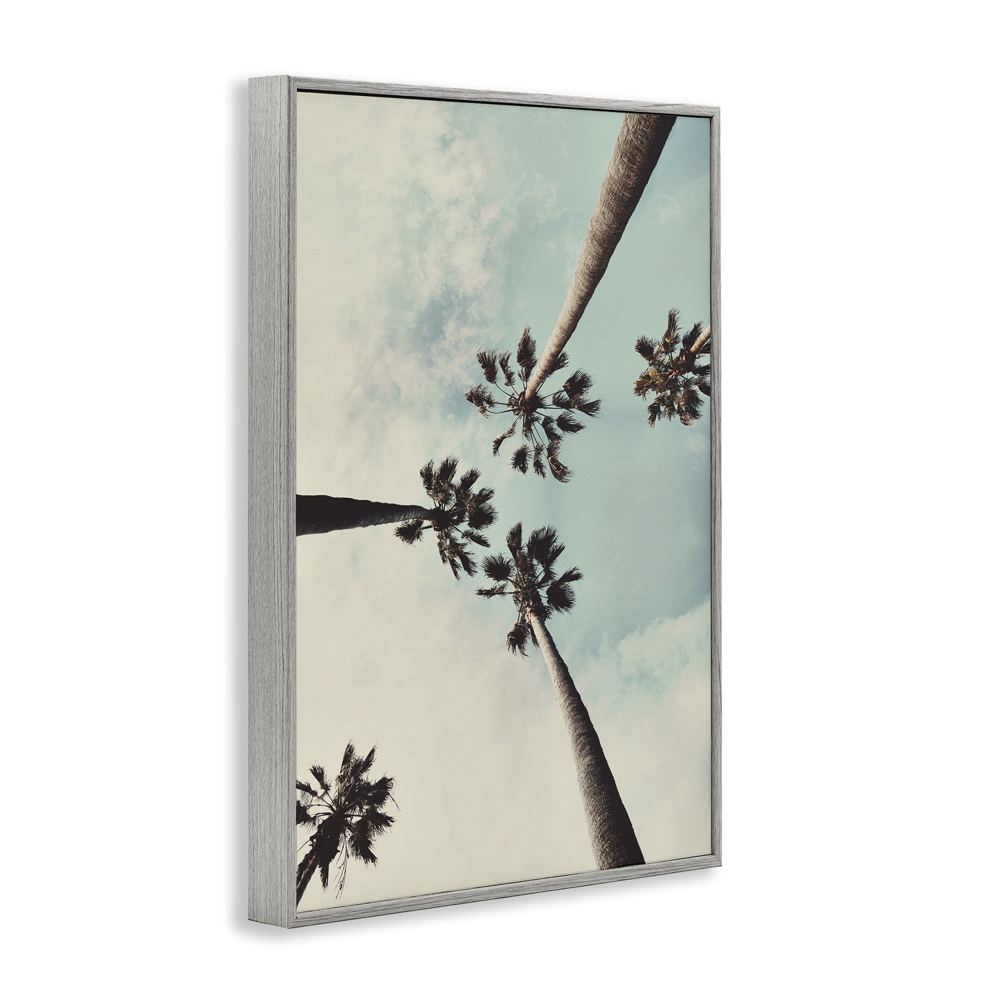 Stupell Industries Centric Tropical Palms Botanical & Floral Photography Gray Framed Art Print Wall Art, 20 x 30