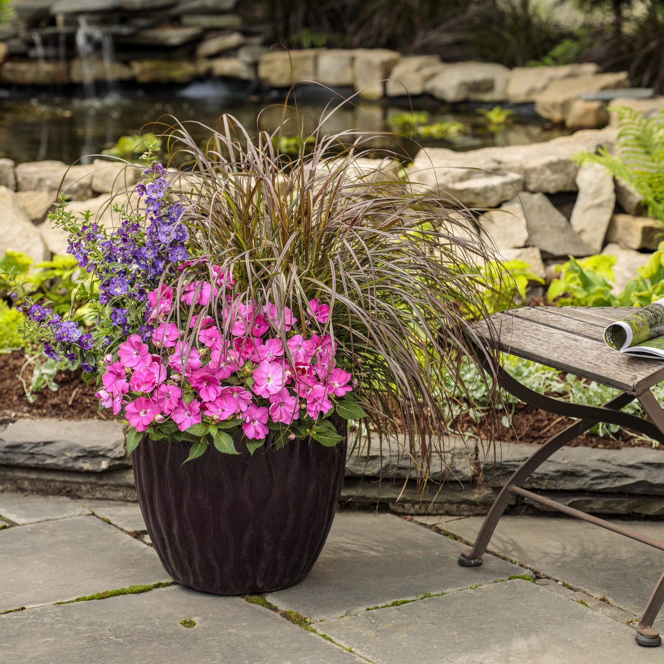 Proven Winners 8" SunPatiens Compact Hot Pink Impatiens Live Plant in 6.5" Pot