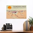 thumbnail image 2 of Padre Island, Texas, Shorebirds at Sunset Collection, Sanderlings, Birds (12x18 Aluminum Art, Indoor Outdoor Metal Sign Decor), 2 of 5
