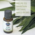 thumbnail image 4 of Garden of Life Essential Oil, Tea Tree 0.5 fl oz (15 mL), USDA Organic & Pure, Clean, Undiluted & Non-GMO - for Diffuser, Aromatherapy, Meditation - Cleansing, Refreshing, Purifying, 4 of 5