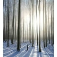 thumbnail image 3 of Woodland Duvet Cover Set, Wintertime Forest on a December Morning Snowy Sunshine Shadows Trunk, Decorative 3 Piece Bedding Set with 2 Pillow Shams, Queen Size, Pale Yellow Bluegrey, by Ambesonne, 3 of 3