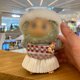 thumbnail image 5 of Doll Clothes XWGLFT Labubu, muñecas de 17 cm con sombrero, suéter y falda, 5 of 6