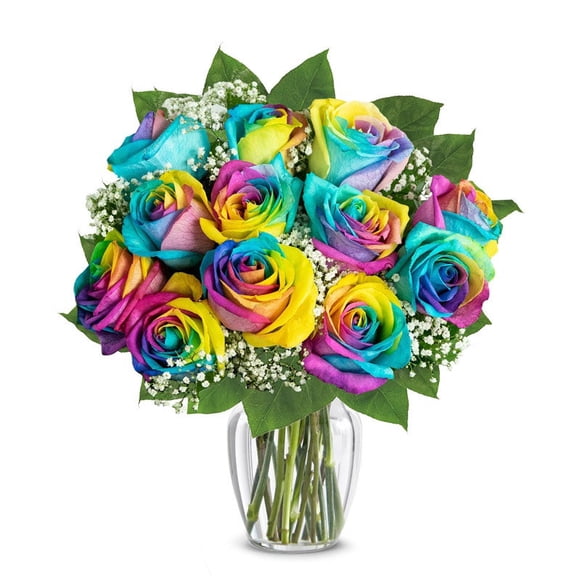 From You Flowers - One Dozen Wild Rainbow Colored Roses with Free Vase (Fresh Flowers)