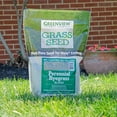 GreenView Fairway Formula Grass Seed Perennial Ryegrass Blend 3 lb.