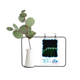 thumbnail image 1 of Jarrones Colgantes de Vidrio Transparente Unbranded Decoración Botella Naturaleza Hojas Planta Fotografia, 1 of 4