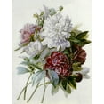 thumbnail image 2 of Redoute, Pierre Joseph 20x24 Black Ornate Wood Framed with Double Matting Museum Art Print Titled - A Bouquet of Red, Pink and White Peonies, 2 of 4