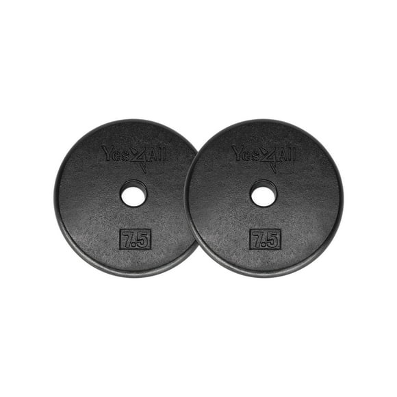 Yes4All 1-inch Cast Iron Weight Plates for Dumbbells â€“ Standard Weight Disc Plates, 7.5 Pound (Pack of 2)