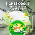 thumbnail image 4 of Gain Flings Laundry Detergent Soap Pacs, 3-in-1 Oxi Boost and Febreze, Original Scent, 60 Count, 4 of 14